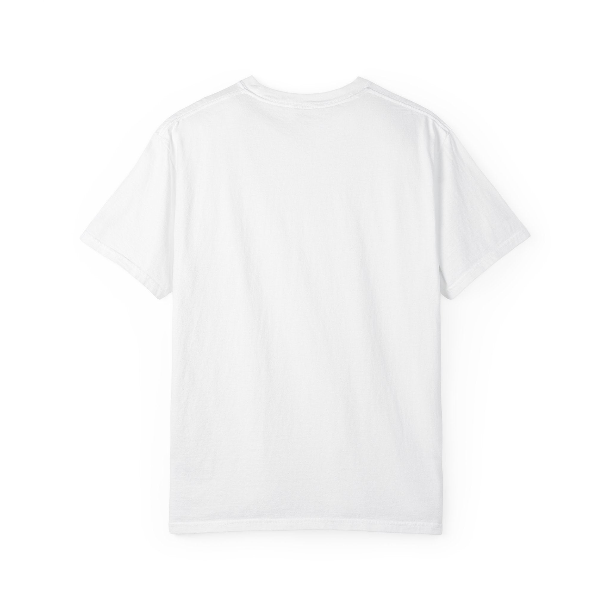 Paladin Energy T-Shirt — "Lawful Good" Fantasy Knight Graphic Tee