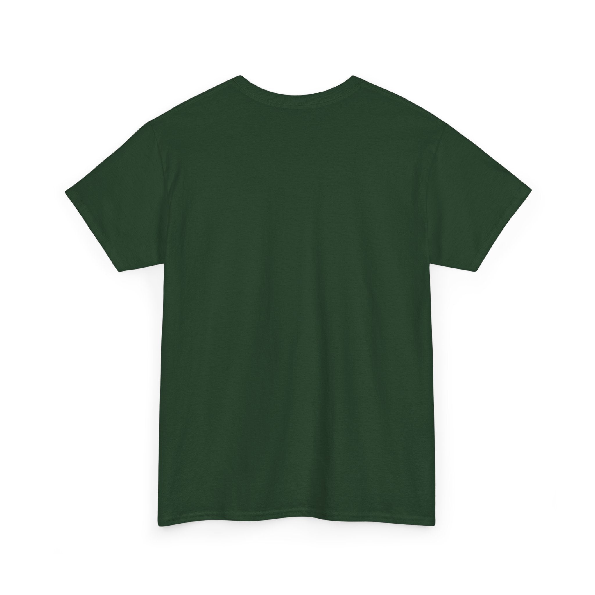 Chaotic Good Druid T‑Shirt — 'There Was No Plan' Fantasy RPG Tee