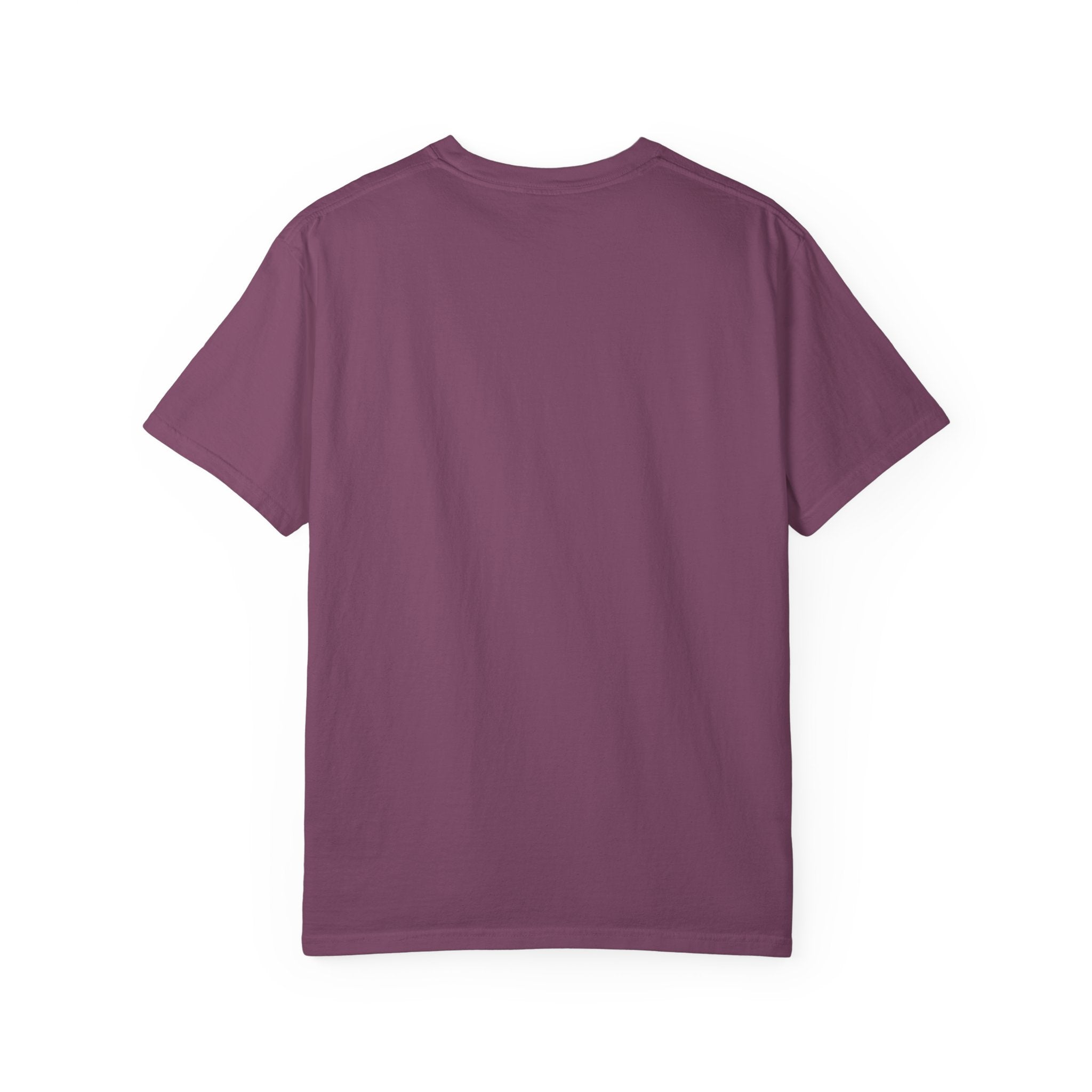 Paladin Energy T-Shirt — "Lawful Good" Fantasy Knight Graphic Tee