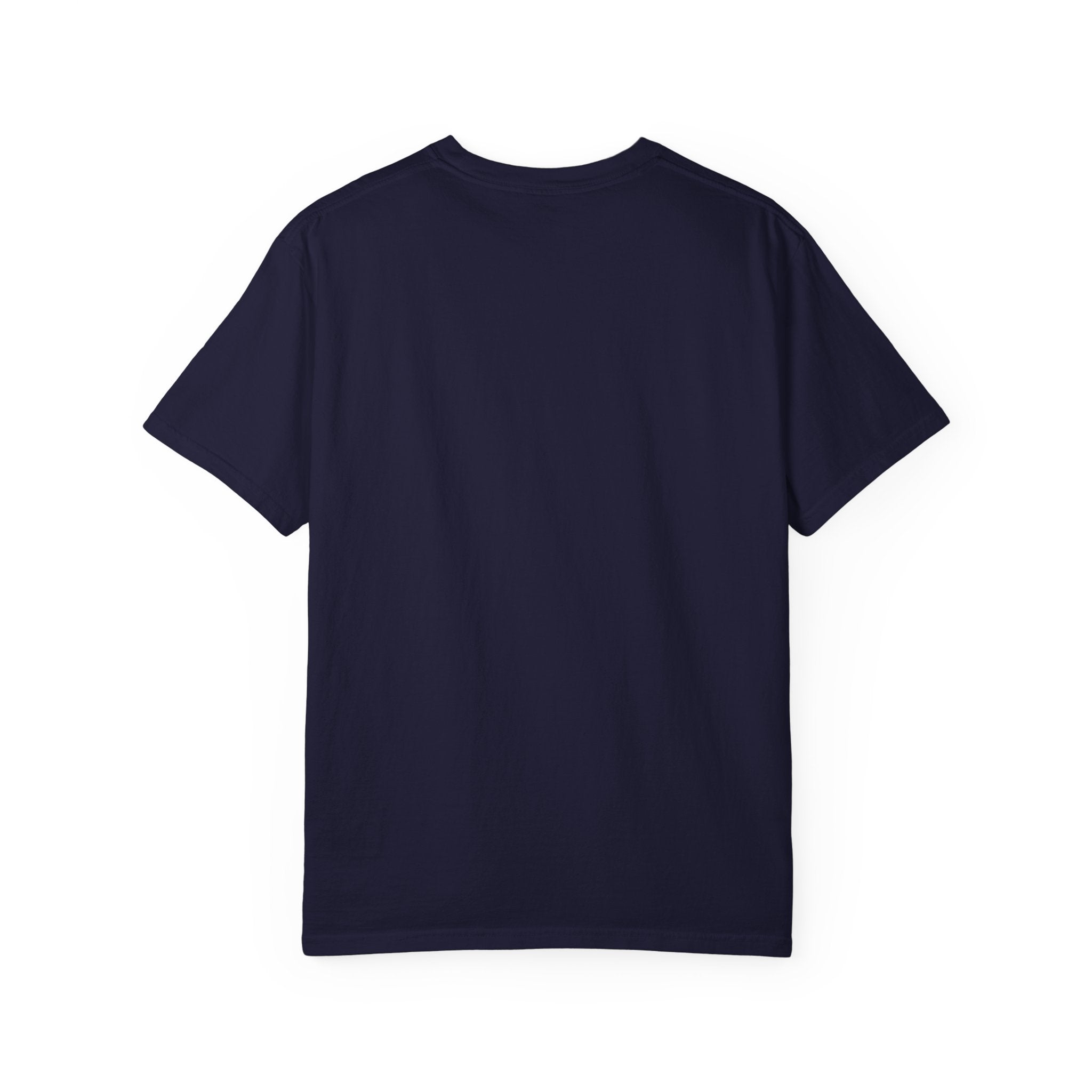 Paladin Energy T-Shirt — "Lawful Good" Fantasy Knight Graphic Tee
