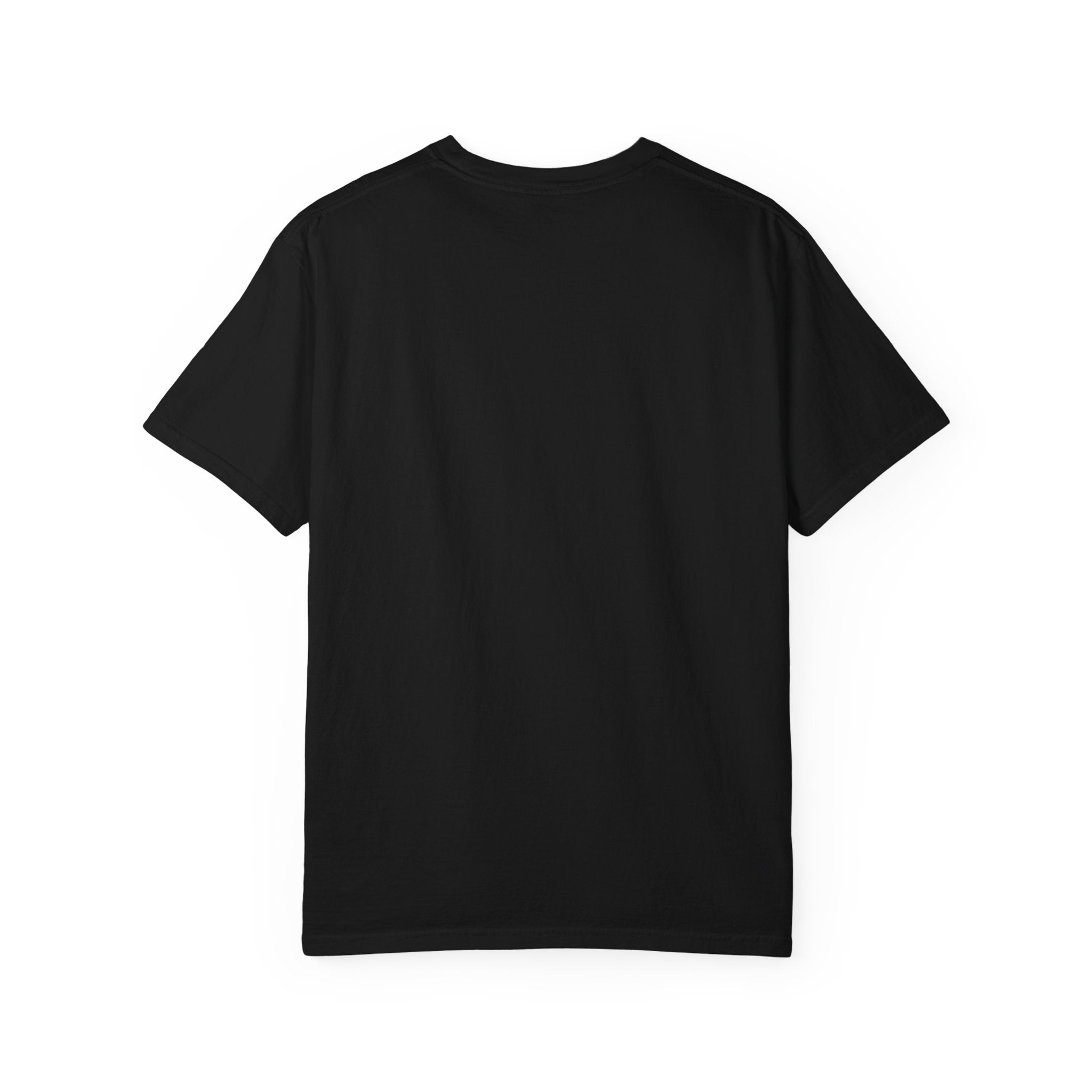 Paladin Energy T-Shirt — "Lawful Good" Fantasy Knight Graphic Tee